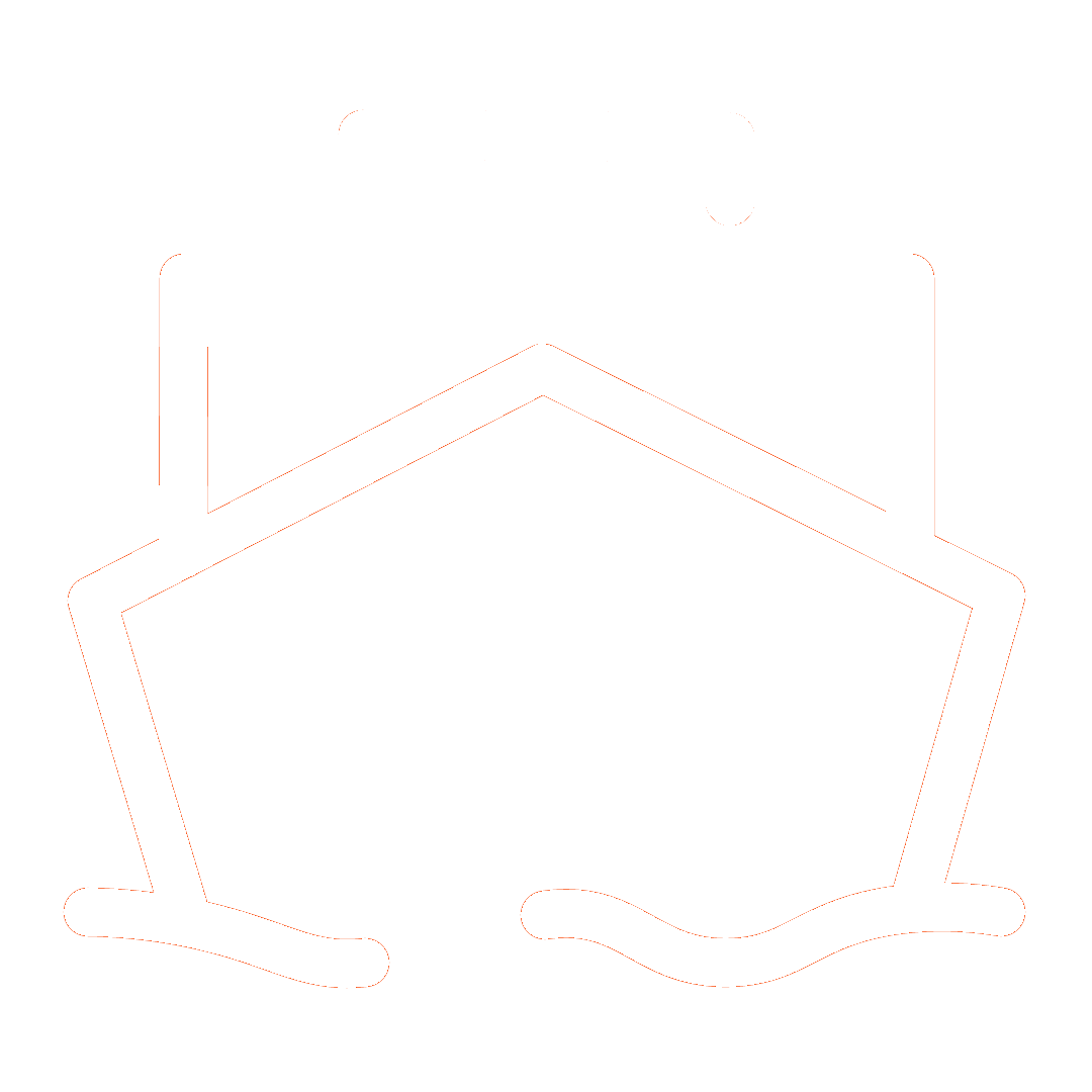 White large ship icon